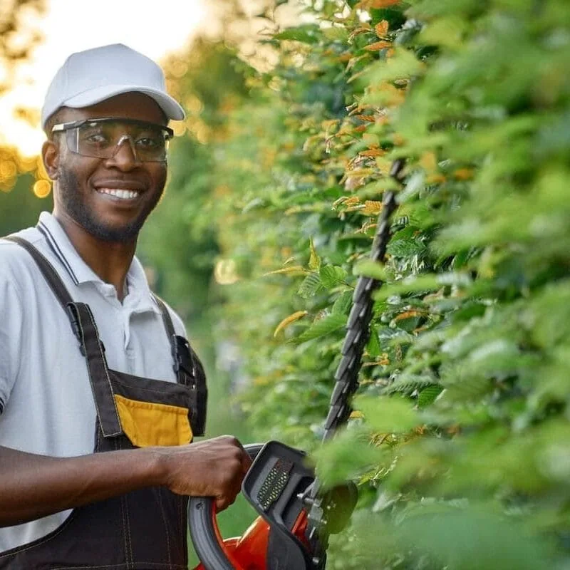 Professional landscaping contractor trimming hedges for local lawn care service