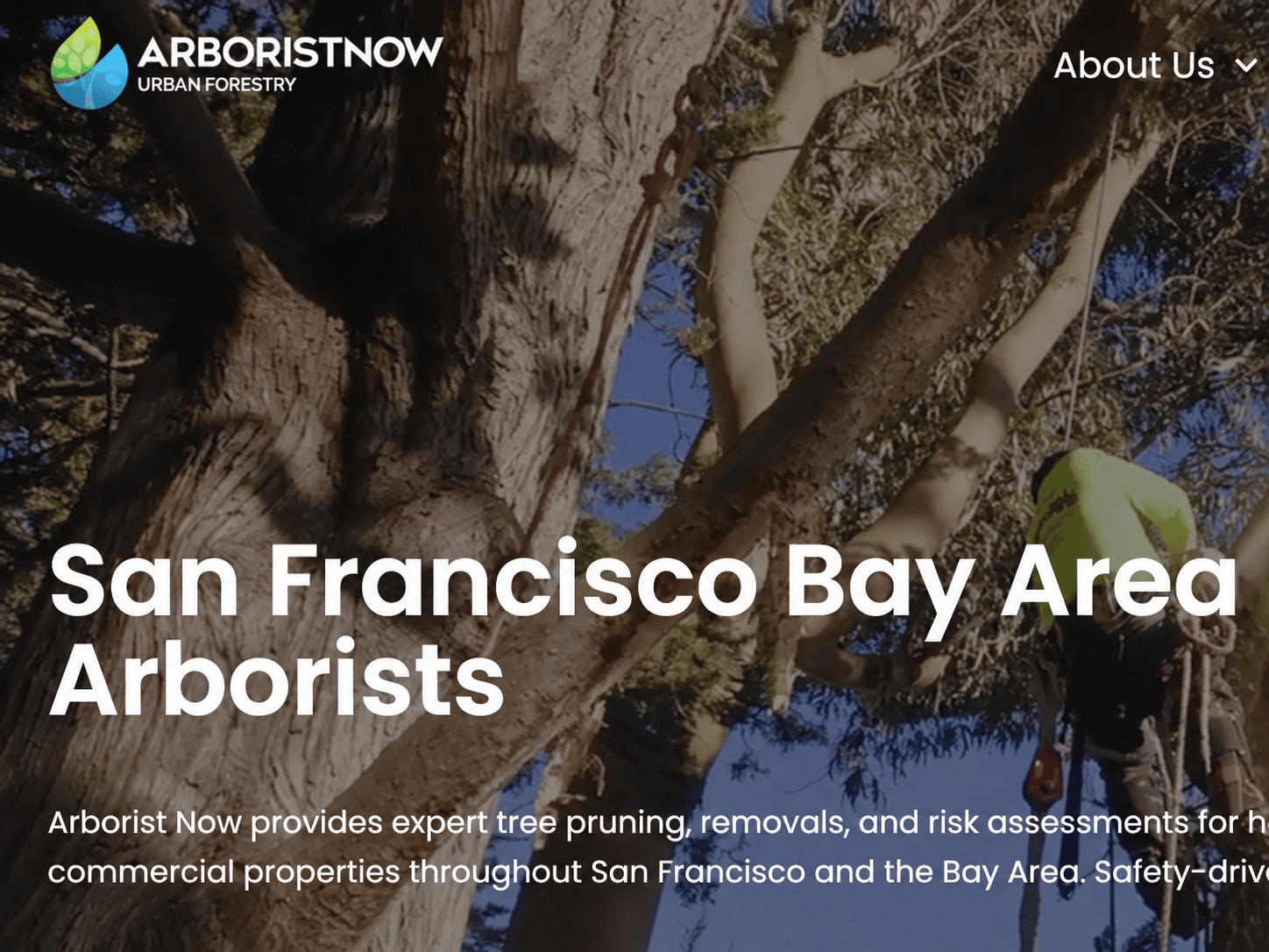 Arborist Now tree service website, tree service marketing case study